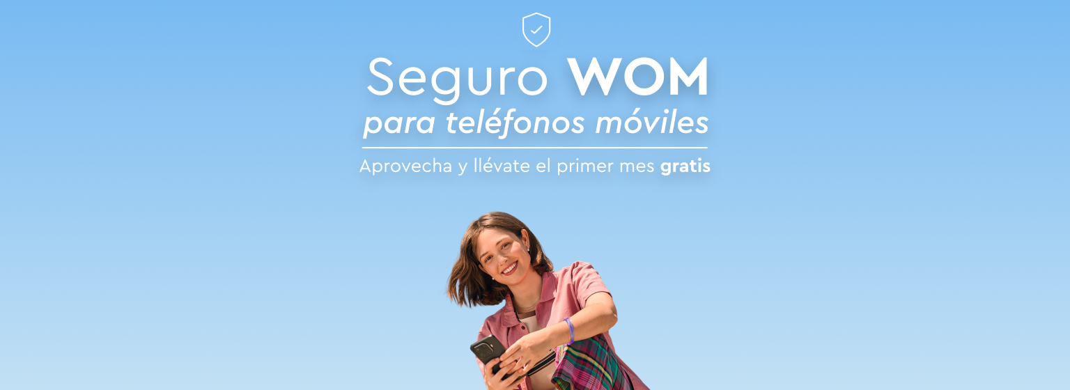 Seguro Equipos