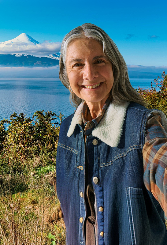 Navega como nunca antes